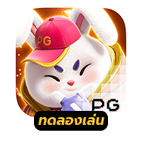Fortune Rabbit